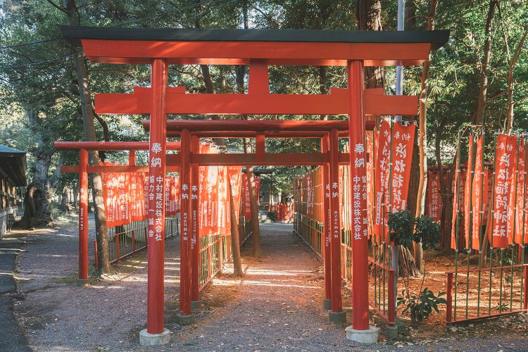 鳥居がきれいに重なる位置を探し、浜松八幡宮の末社、浜松稲荷神社を撮影。撮影／ちょりんた（＠chorinta）