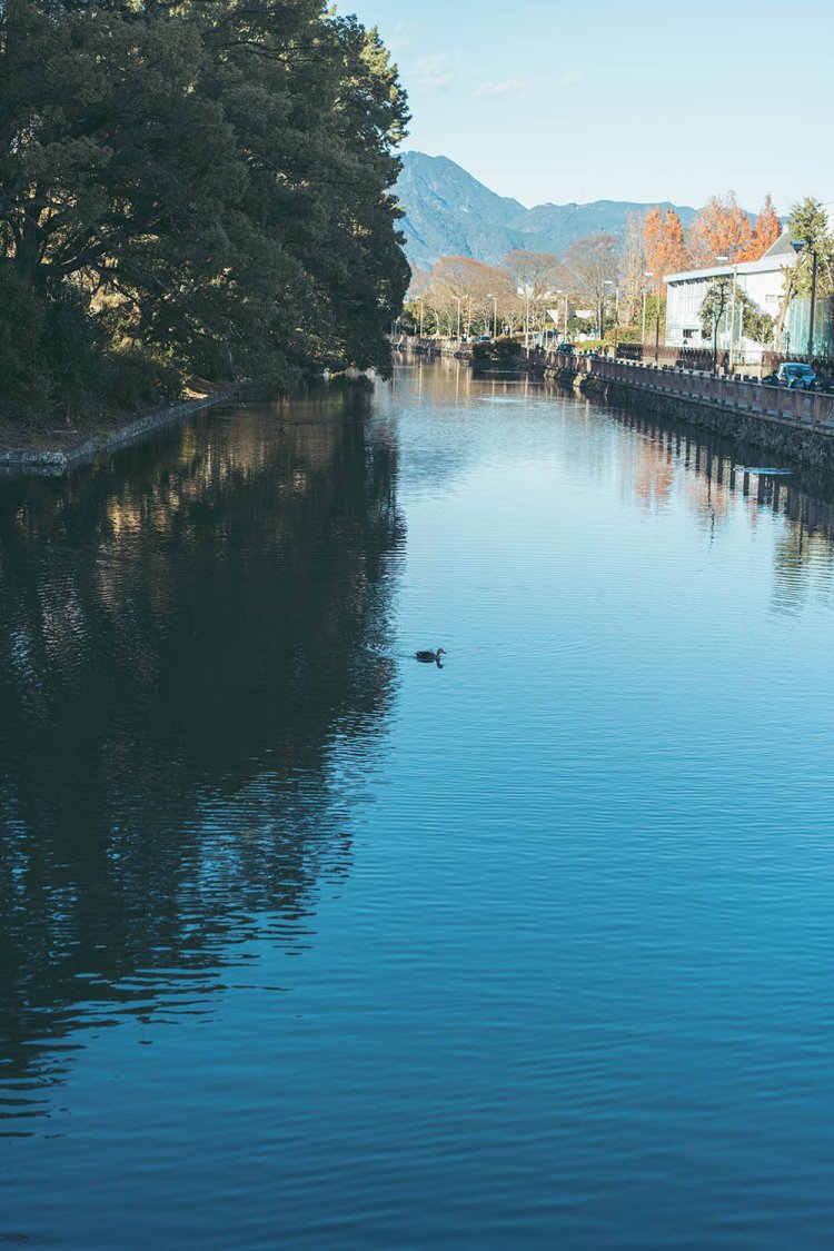 水堀は水面の面積を大きくとった。小さいながらも水鳥がアクセントになっている。撮影／ちょりんた（＠chorinta）