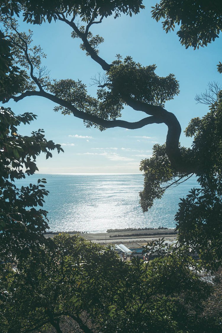 こちらは手前の木の枝をシルエットにしたことで、海面の輝きがより増して見える。撮影／ちょりんた（＠chorinta）