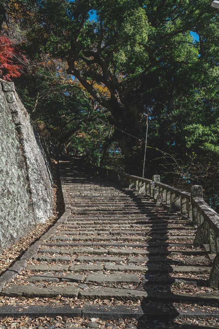 途中にあった参道内で一番長い直線部分。ここは下から撮影し、奥行きを強調。撮影／ちょりんた（＠chorinta）