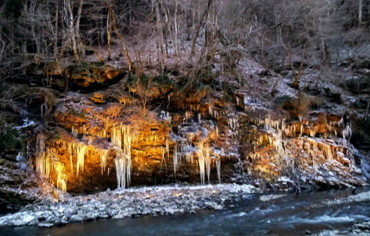 カラフルで幻想的な光景は夜だからこそ楽しめる。