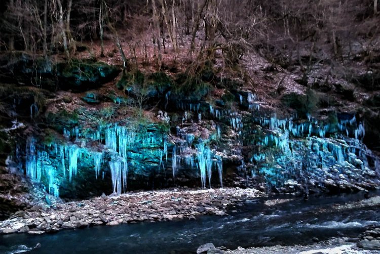 夕暮れ時に始まるライトアップは天然のイルミネーションのよう。