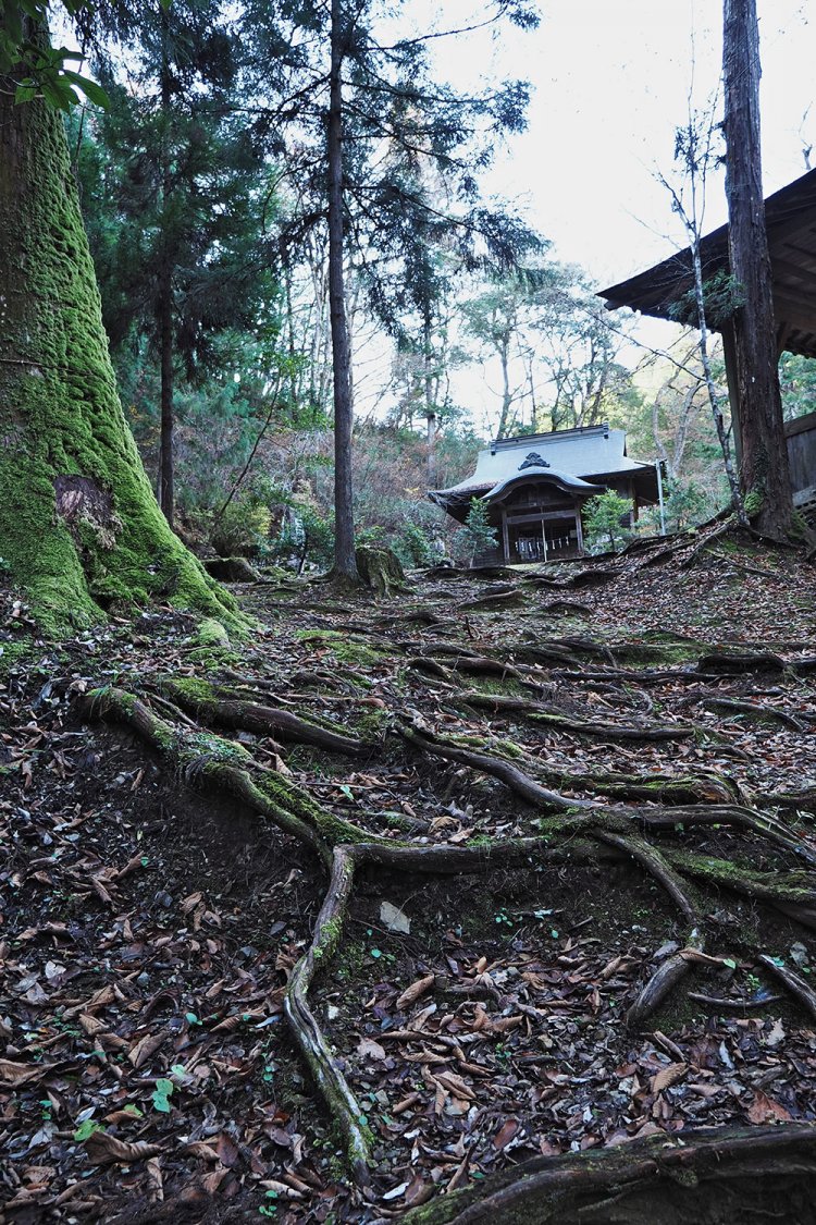 醍醐集落の鎮守、龍蔵神社。明治5年（1872）、住吉神社を合祀。安産、雨乞いの神として信仰されている。本殿は寛文元年（1661）再建。創建は不詳。