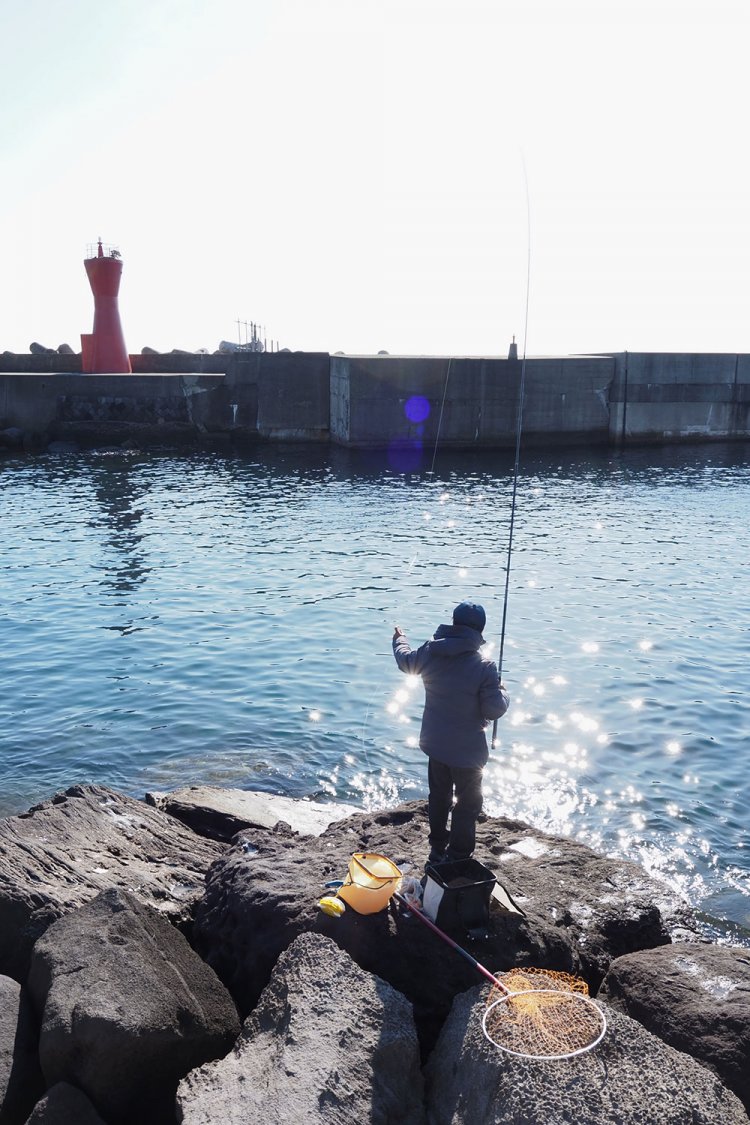福浦港の岸壁の突端に釣りびと。横浜市からときどき来るという。今日はメジナを狙っているとか。