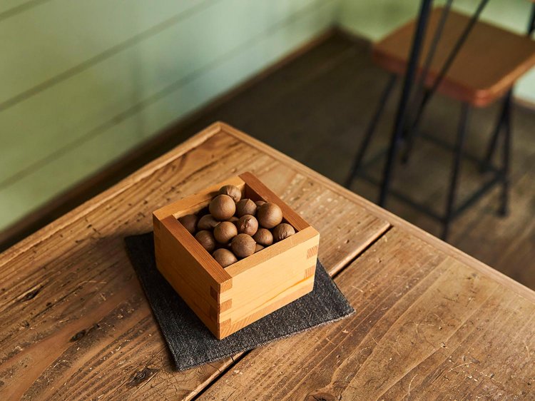 茶の実。丸く、見た目は小粒の栗のよう