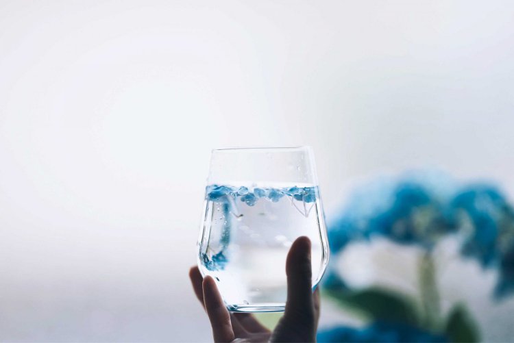 SIGMA 85mm F1.4 DG DN | Art で撮影。