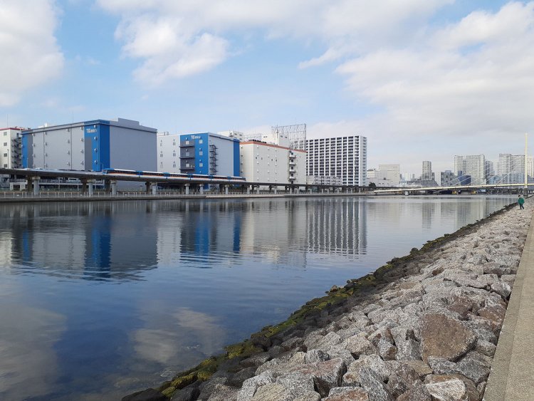 釣りバカ_大井埠頭