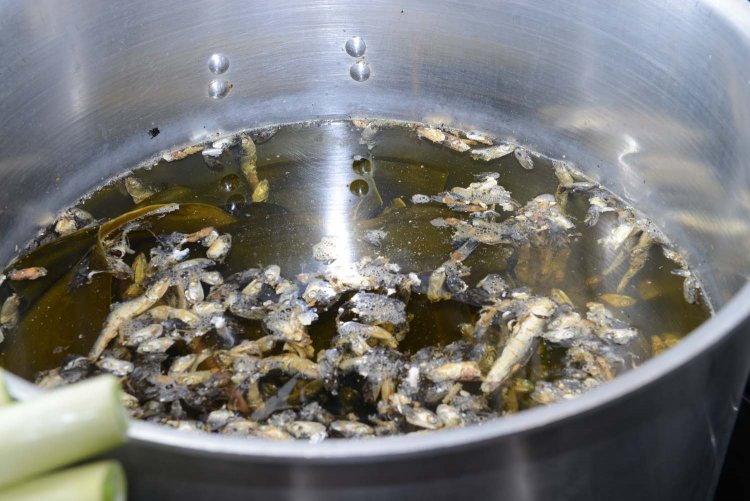 煮干しをじっくりと水出しすることによって旨味が抽出されるという。