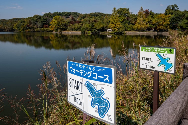 それぞれの体力に応じたモデルコースが設定されており、散策の参考になる。