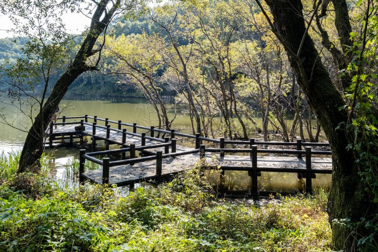 穏やかな水面に突き出たウッドデッキ。