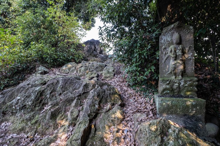 頂上付近はゴツゴツした岩が露出し、少々歩きにくいので注意を。