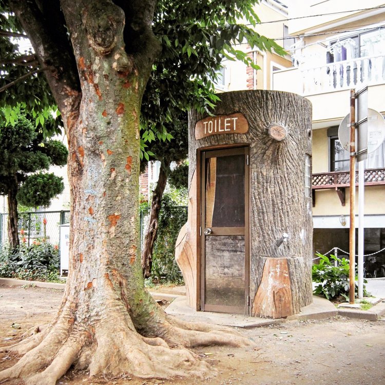 大きな木の横に、切り株型のトイレ。