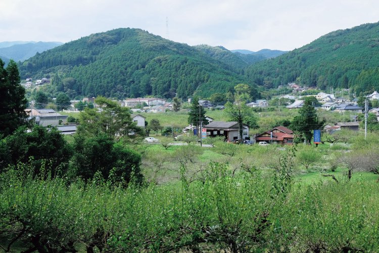 県道から大高取山への登山口に入ると見えてくる近くの風景。