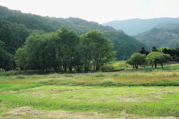 虚空蔵尊分岐の先、のどかな里山の風景がいい。