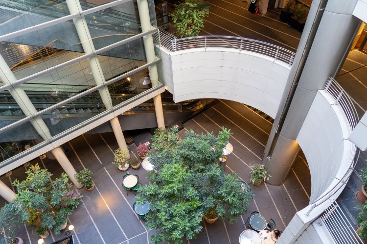 『ドゥ マゴ パリ』のテラス席は、吹き抜けのスペースが利用されている。