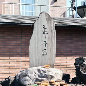 【週末民話研究】本牧・亀の子石神社の「亀の子さま」と不思議なご利益