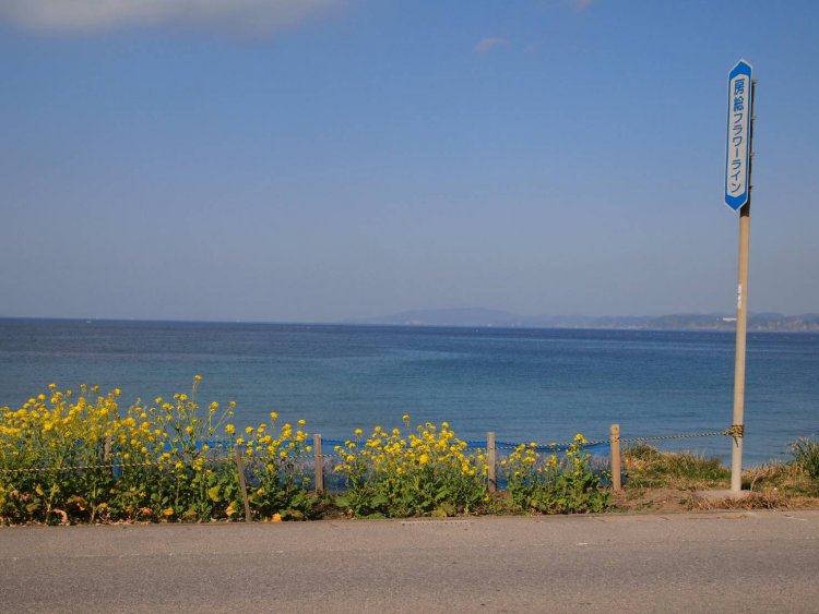 「日本の道100選」にも選定されている房総フラワーライン。