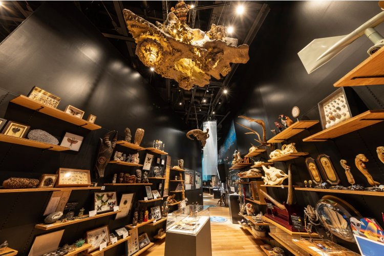 角川武蔵野ミュージアム