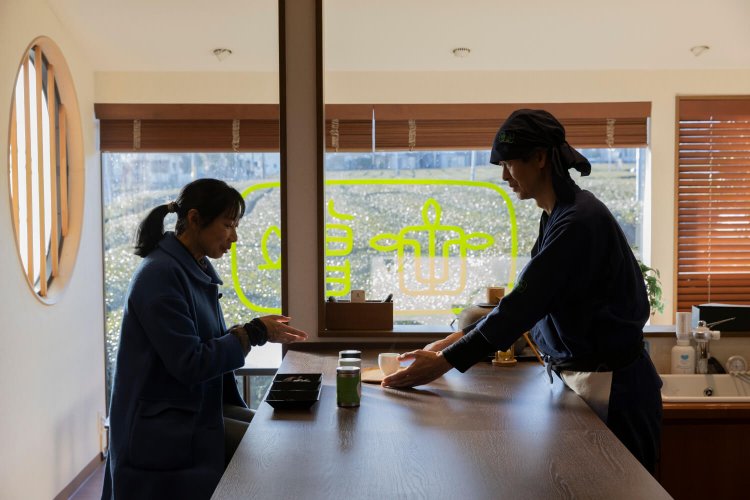 所沢9増田伊之助茶園