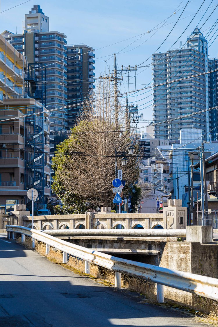 タワマンを背景に、連続するアーチが美しい旭橋。昭和5年（1930）製の国登録有形文化財だ。