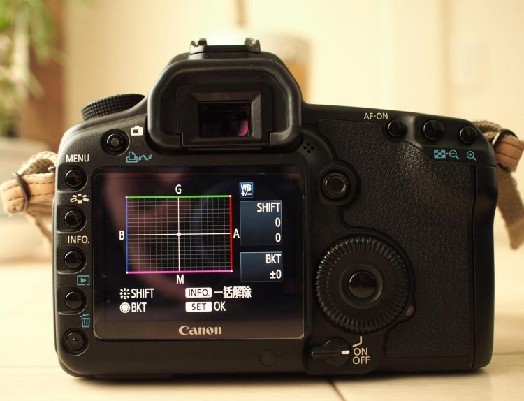 【カメラガールズ】いつもの写真に色彩効果をプラス