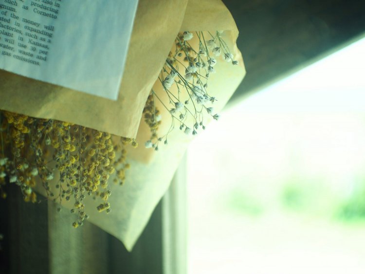 【カメラガールズ】いつもの写真に色彩効果をプラス