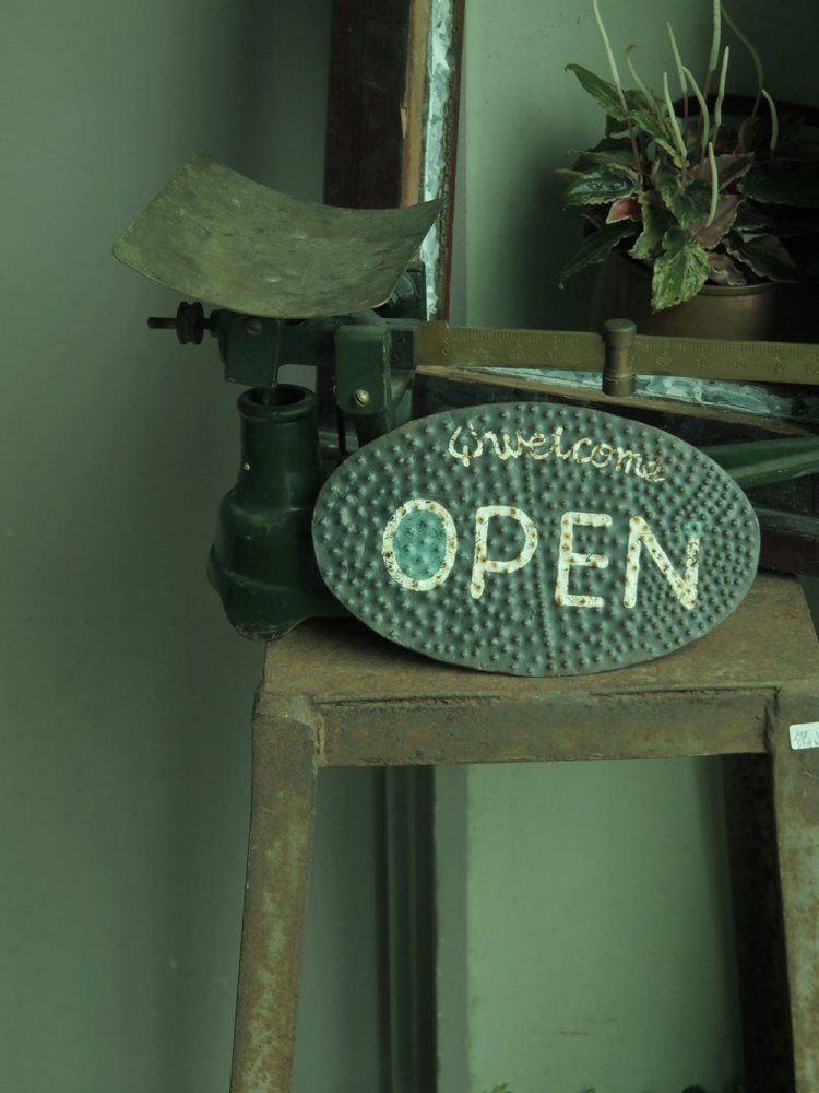 【カメラガールズ】いつもの写真に色彩効果をプラス