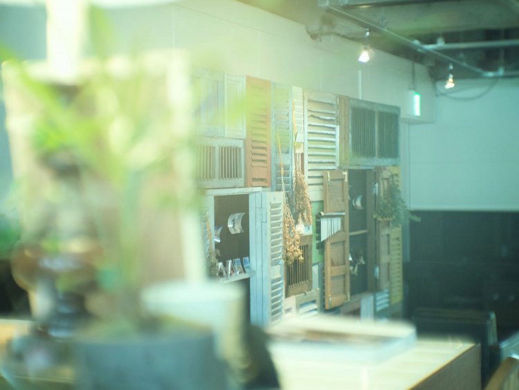 【カメラガールズ】いつもの写真に色彩効果をプラス