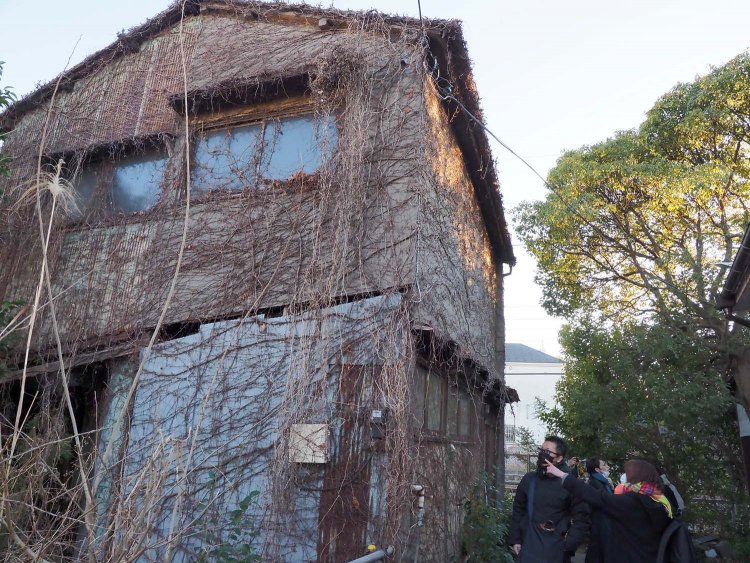 6ツタだらけの家