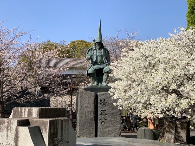 この景色はあまりに美しく、何度見てもため息が出まする。