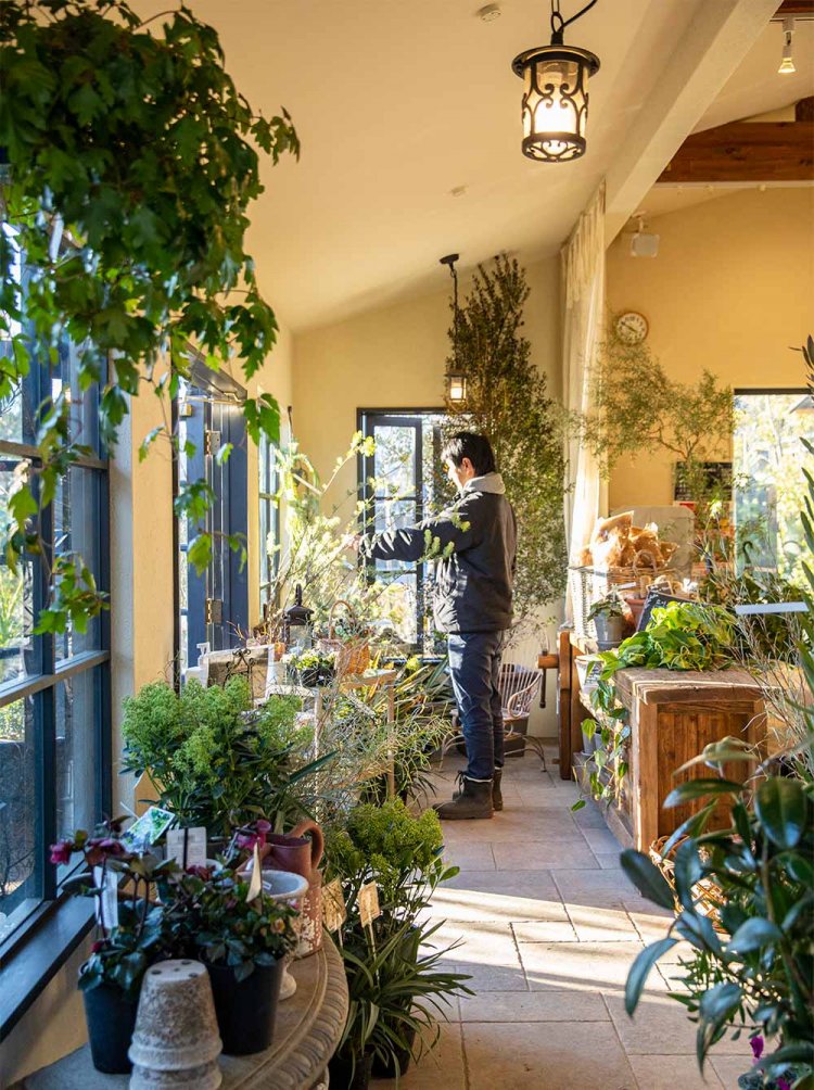 窓から光が注ぐ昼下がりの店内。寄せ植えやリースの作成も行う。「東村山は自然が多くて寄り道が楽しいです」。