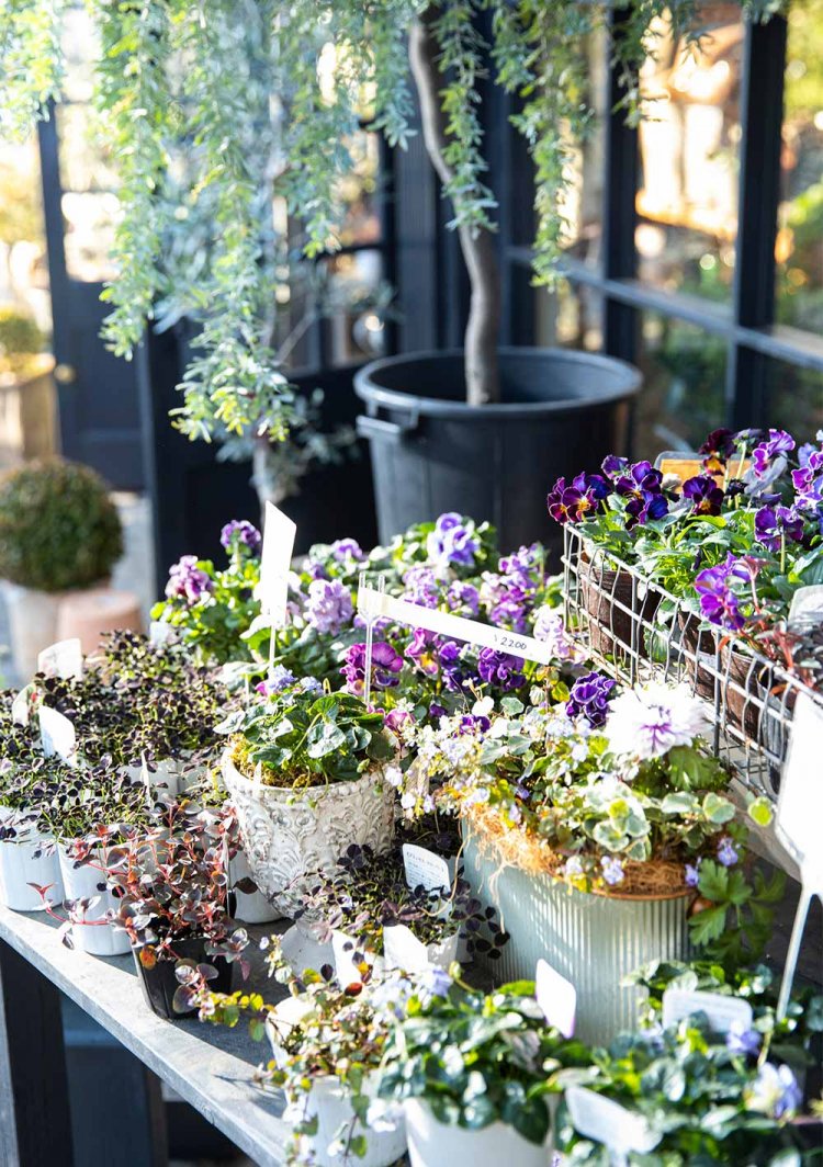 スタッフに育て方を相談したり、生産者の思いを聞けるのもうれしい。