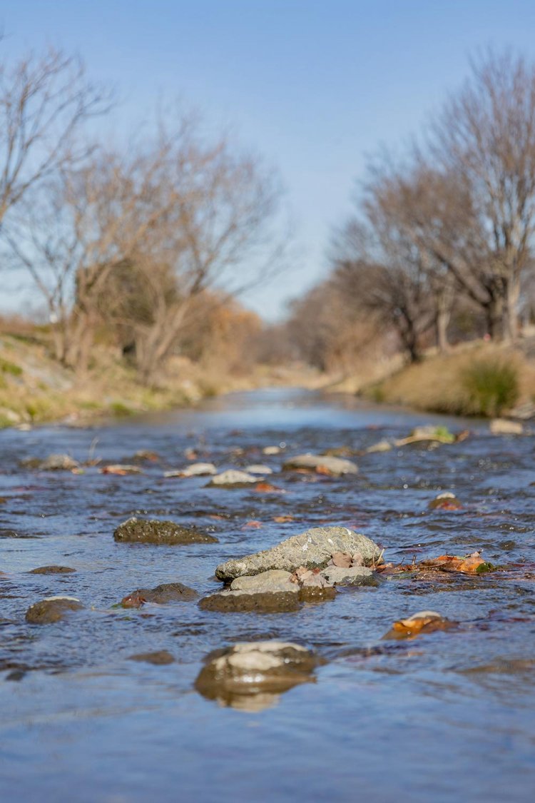 【散歩の達人】清瀬さんぽ