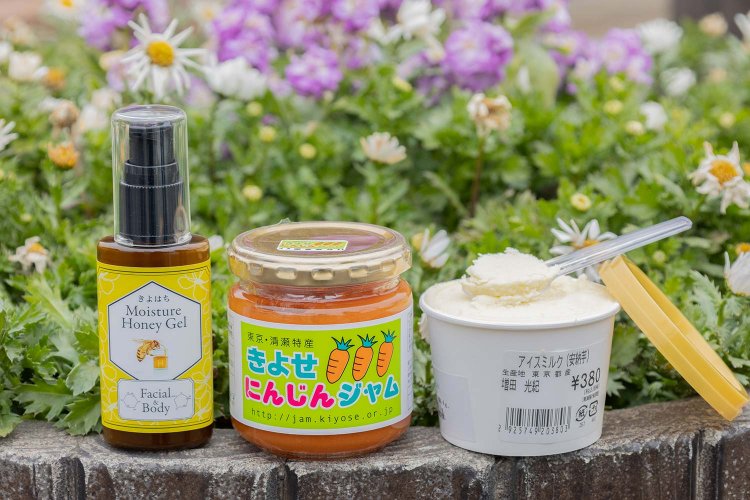 【散歩の達人】清瀬さんぽ