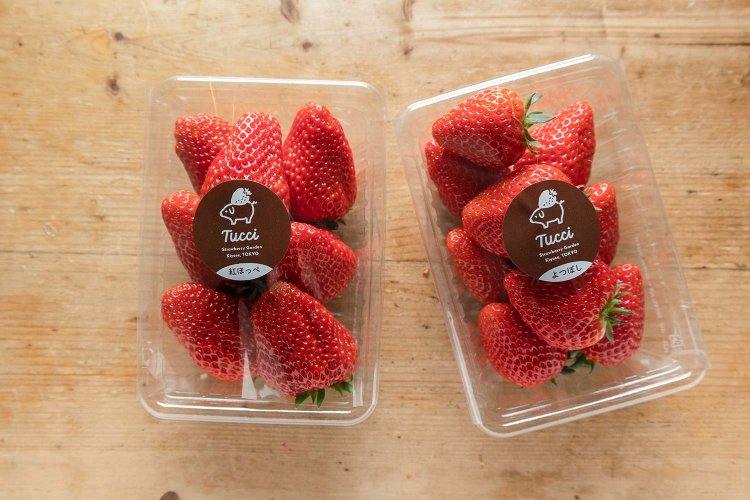 【散歩の達人】清瀬さんぽ