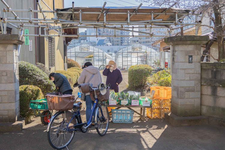 市内に農産物直売所は約50カ所も。軒先の小さな売り場も合わせたらもっとあるかも。