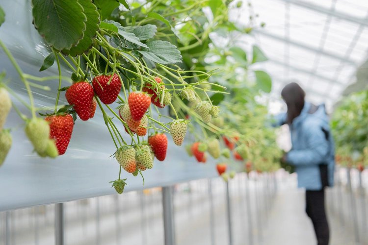 「予想以上に大変だけどチャレンジしてよかった！」