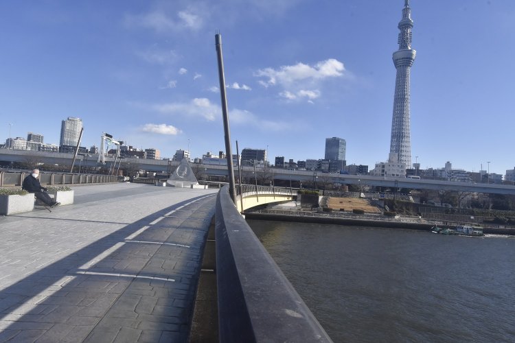 上空から見るとエックスの形をしている桜橋。