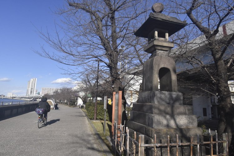 墨堤の桜並木の間に残された竹屋の渡しのための常夜燈。