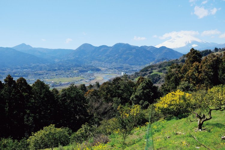 公園から下りてくると後半は展望が開けてくる。富士山の下に山々が見える。左から金時山、正面のやや左が矢倉岳、その右が浜居場城跡のある山になる。