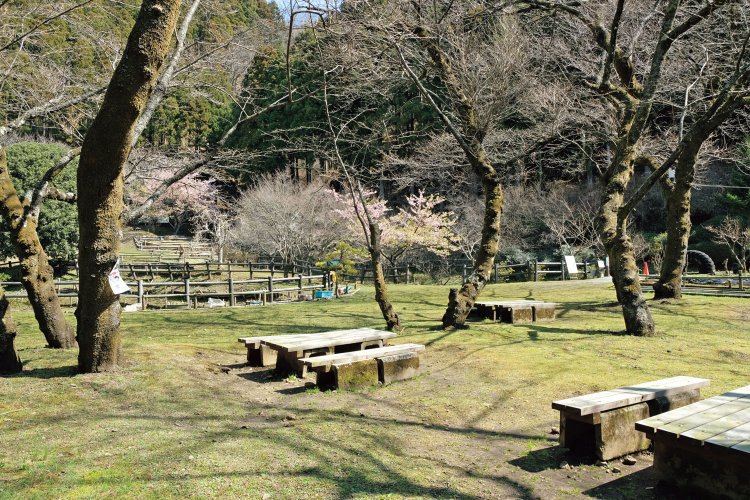 最明寺史跡公園の中。何となくいいところだ。寺の護摩堂跡には石碑が立っている。