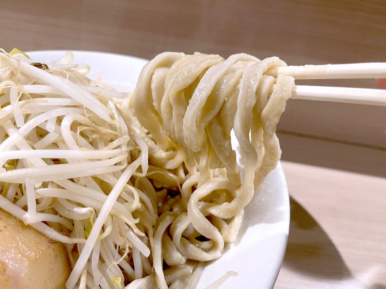 トッピングのもやしが重くて、丼の底から麺を引っ張り出すのに苦労した。麺は太くて弾力がある。