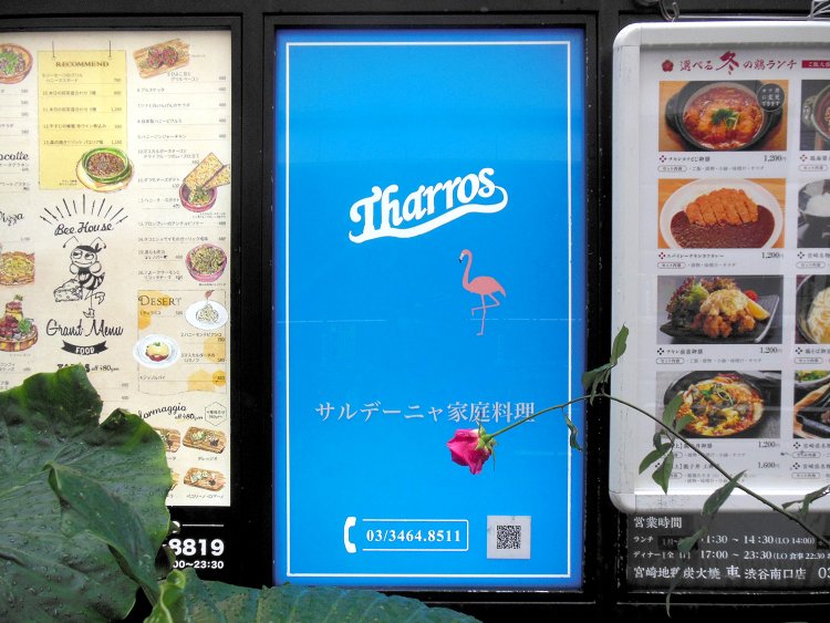 イタリアの高級リゾート地として知られるサルデーニャ島。フラミンゴの観測スポットは、島の南部カリアリ。