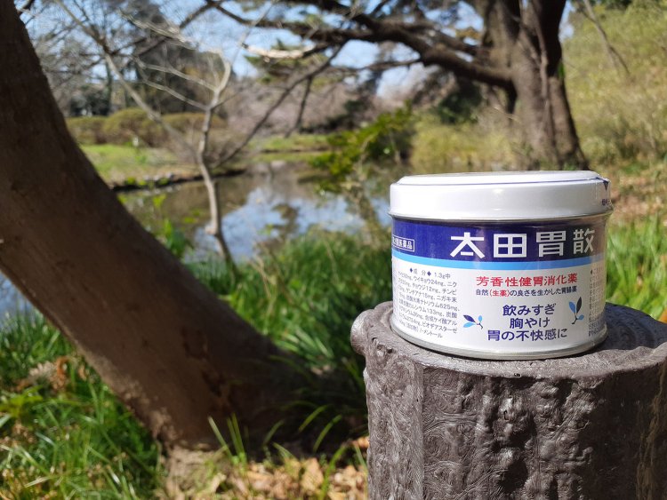 小石川植物園にて。