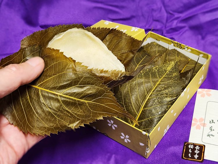 山本や長明寺桜もち (1)