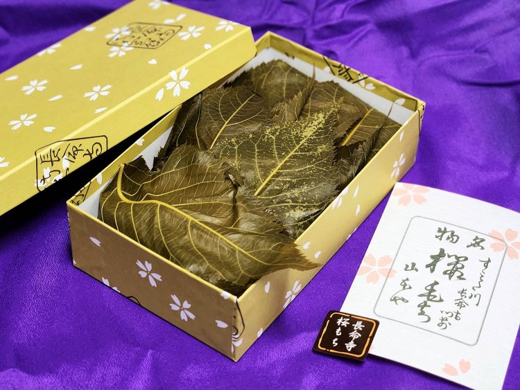 山本や長明寺桜もち (10)