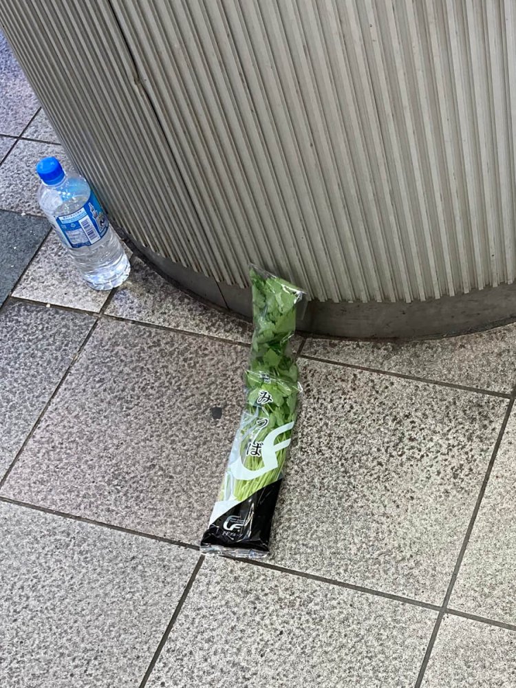 渋谷の街中に佇むミツバ。