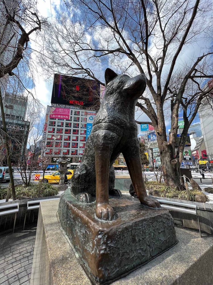 駅前に人は多かったけど、ハチ公の周辺には誰も寄りつかない。