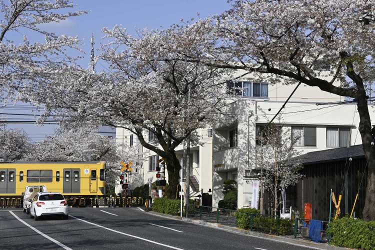 新井薬師前を歩き回った日々が、今の私に繋がっている～アンゴラ村長が芸人のスタートラインに立つまで～