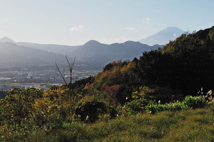 富士見塚の少し上にある展望台、富士見塚休憩所からの眺め。